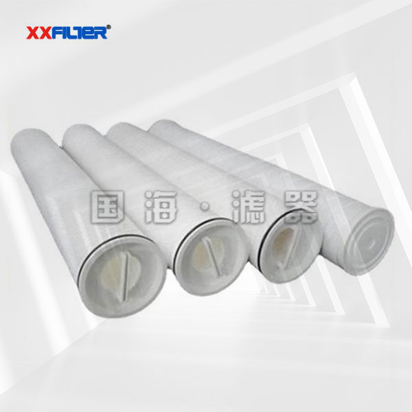 頗爾內外骨架大流量水濾芯