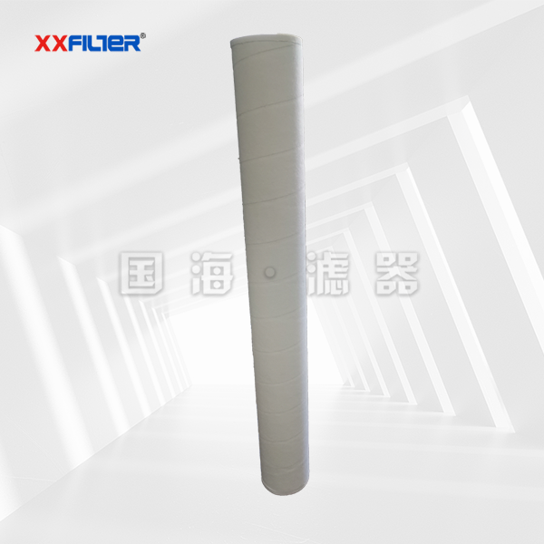 PECOFGGF系列 燃氣過濾器濾芯