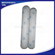 HC0162FDN6Hpall頗爾濾芯