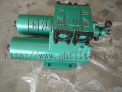 SPL雙筒網片式過濾器